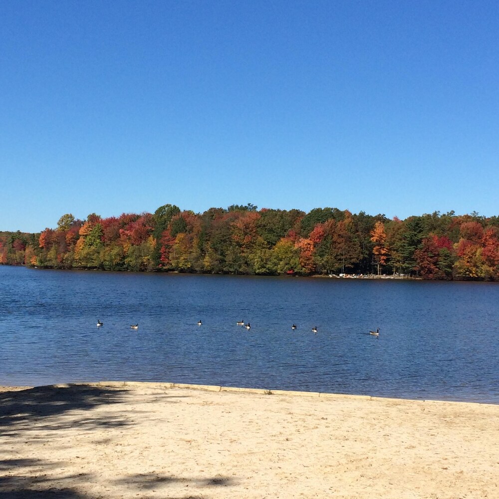 Now With Air Conditioning Cozy Cabin At Bear Creek Lake, Hazleton