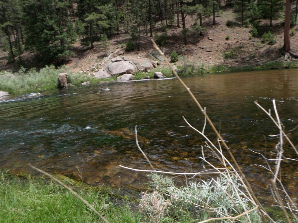 Updated Fly Fishing Cabin On The Gold Medal South Platte By