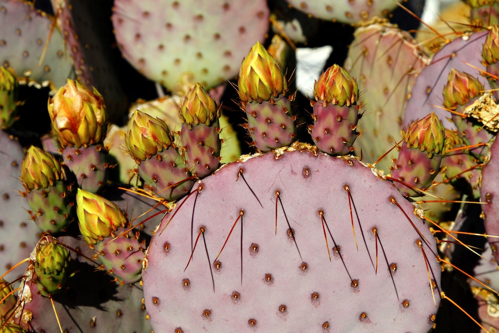 Gorgeous Views, 5 Acres, Sleeps 8, Hot Tub, WiFi, Close to Park!