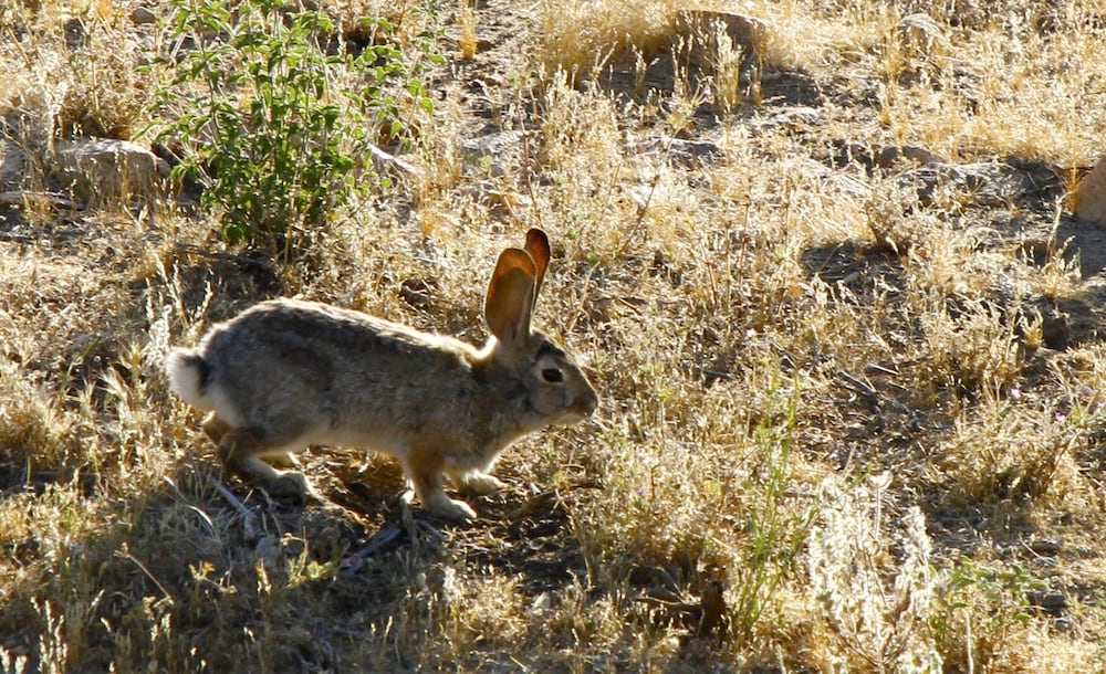 Gorgeous Views, 5 Acres, Sleeps 8, Hot Tub, WiFi, Close to Park!