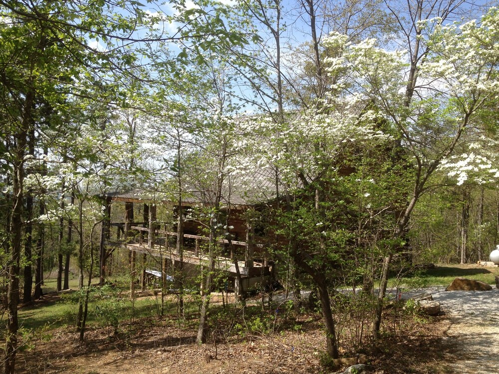 Dogwood Cabin Of Deer Lodge Cabin Rentals Secluded Ozark Mointain