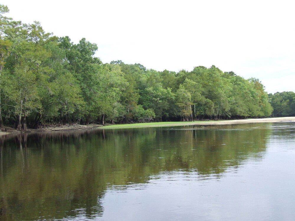 Little Pee Dee River Cabin, Gresham Room Prices & Reviews Travelocity