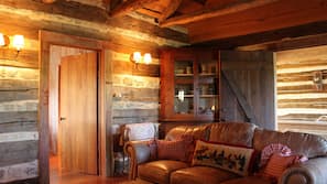 Fireplace, books