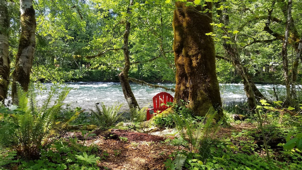 McKenzie RiverFront Cabin at Log Cabin Inn in Blue River Best Rates