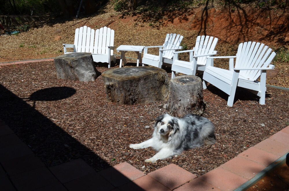 A Secluded Cabin on an Acre of Woods-Julian Mountain Haven