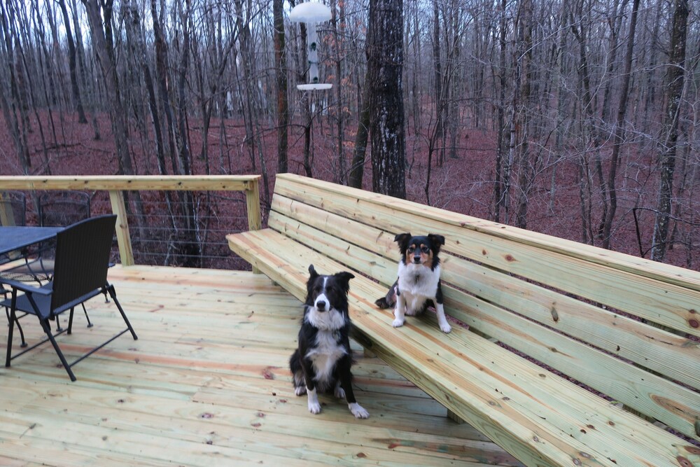 Cozy Cabin in Clifftops (VRBO #478732)  family and dog friendly