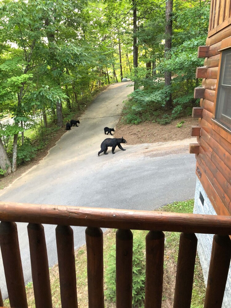 Central location between Gatlinburg, Pigeon Forge, and The Great Smoky Mountains