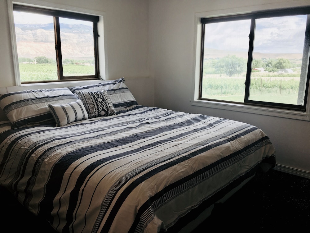Vineyard Home close to town and Fruit and Wine Byway Mesa County Vrbo