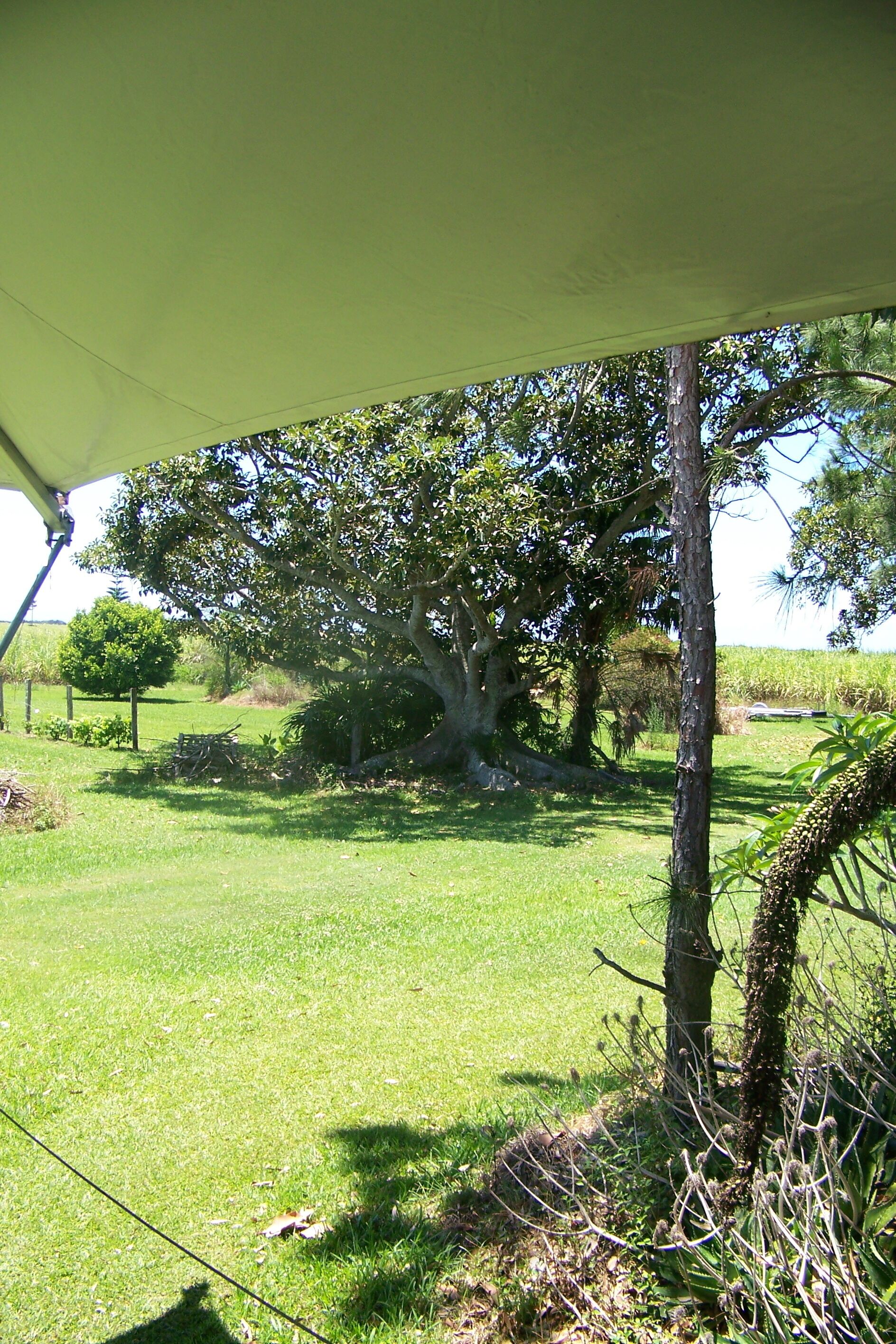 Ballina Byron Bay area Luxury Tent LATITUDE 29