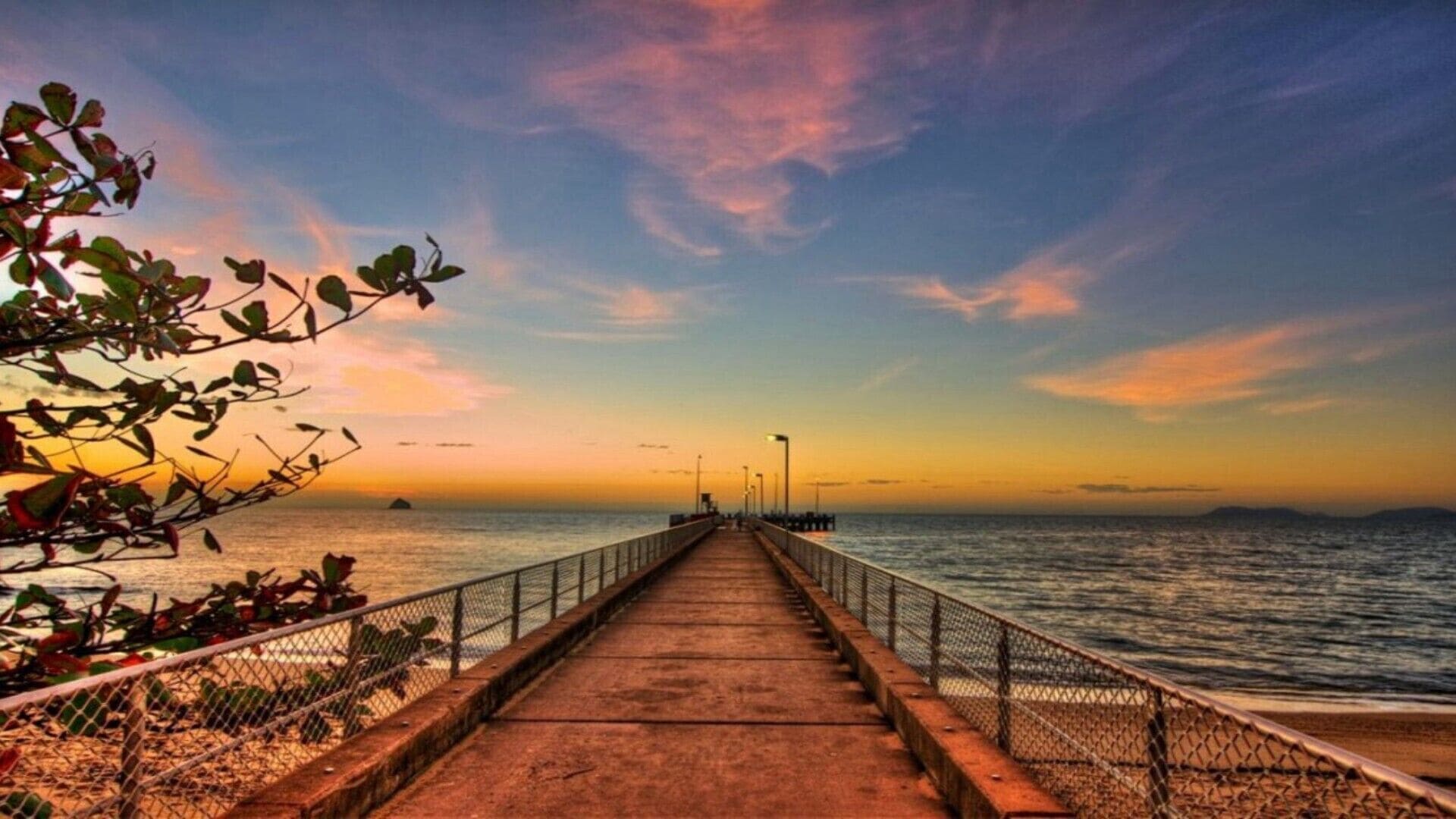 'LANDSCAPE @ PALM COVE'