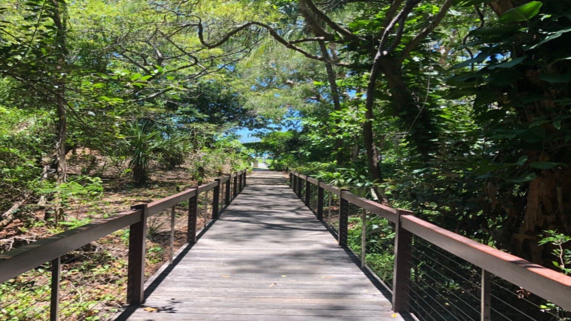 'LANDSCAPE @ PALM COVE'