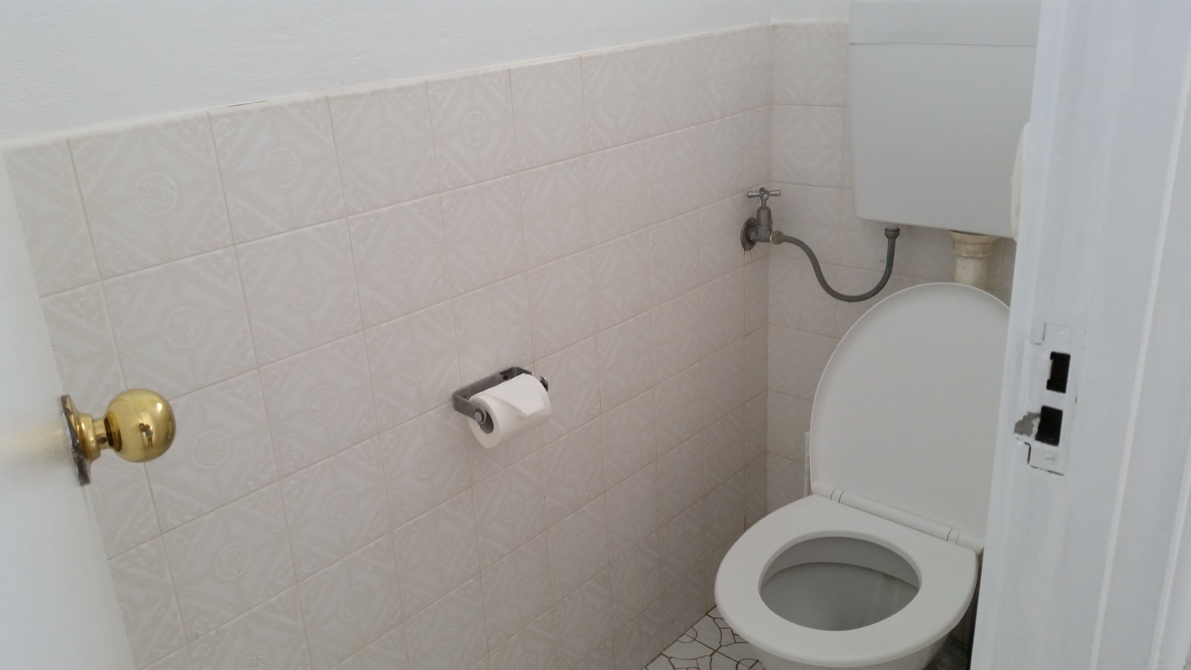 Happy Holidays Pet Friendly, Ledge Point