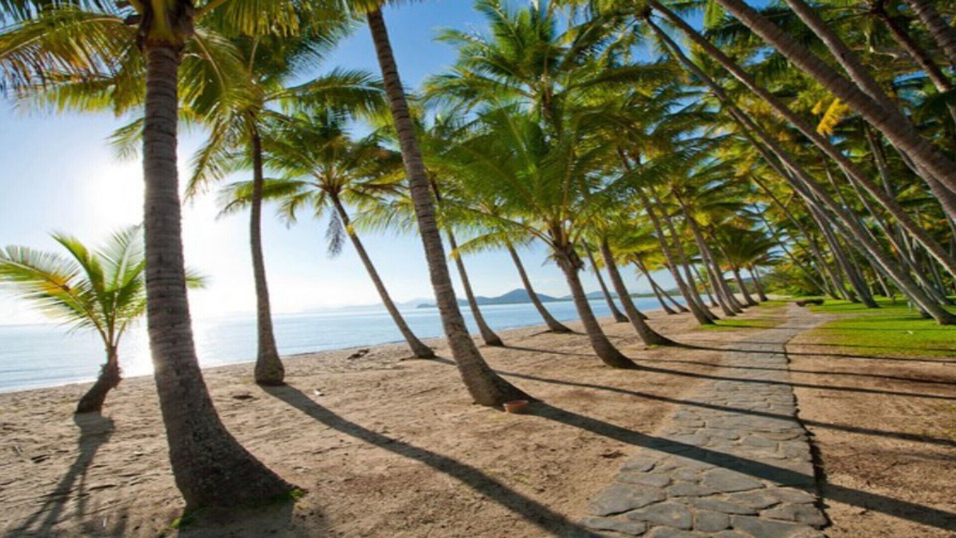 PARINGA 8@ PALM COVE