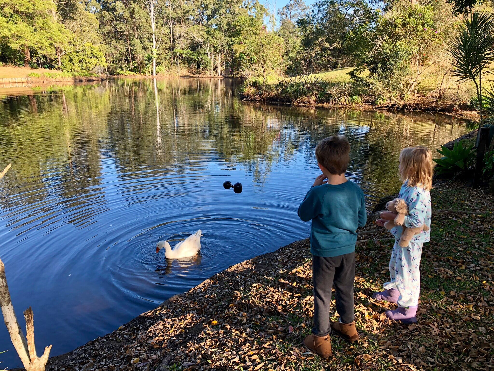 Embers of Landers Shoot
