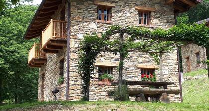 Agriturismo L'Arbo