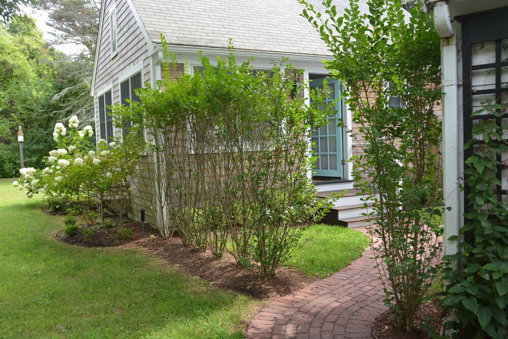 Charming cape cod cottage on beautiful grounds