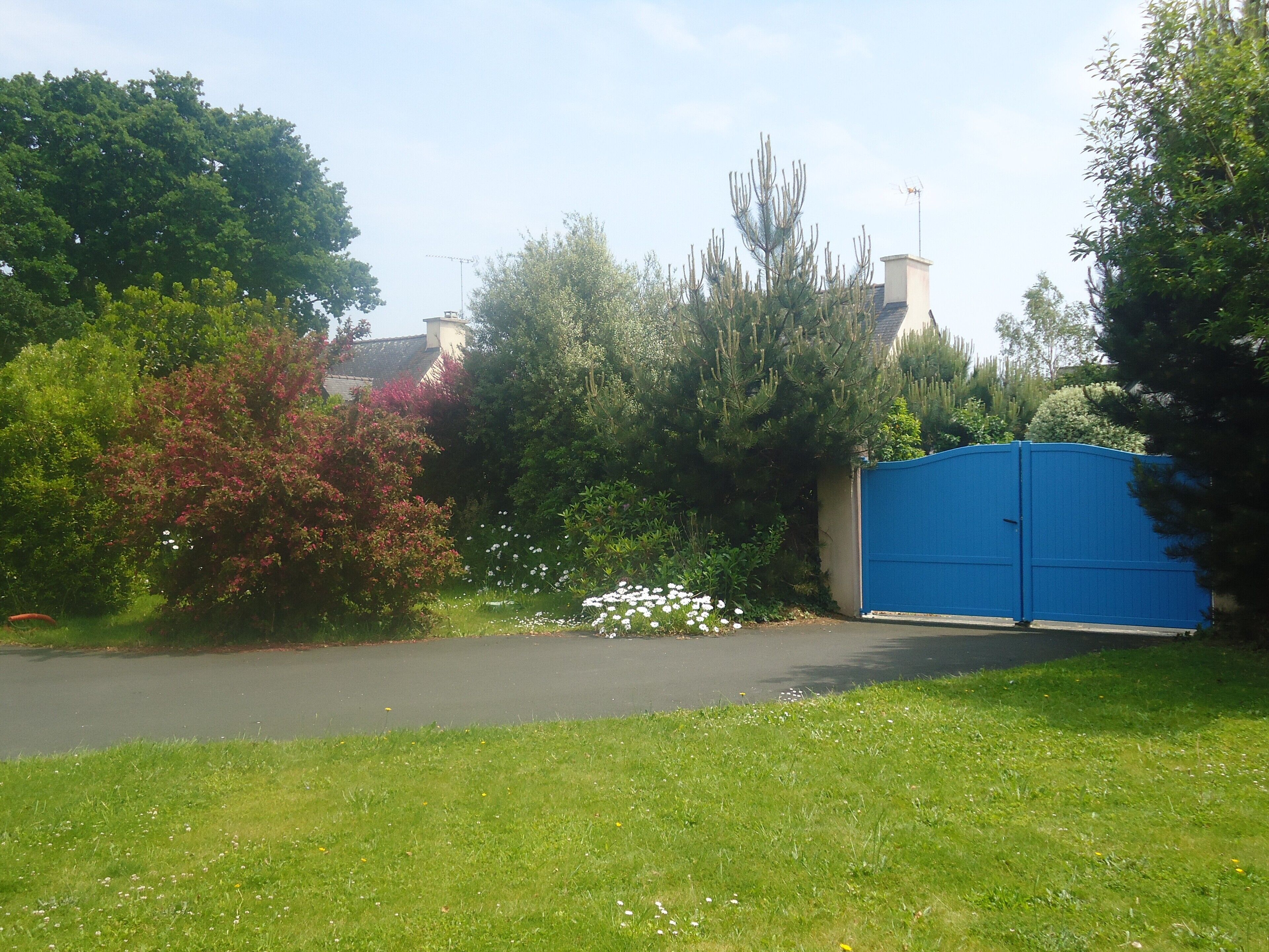 dog friendly accommodation enclosed garden