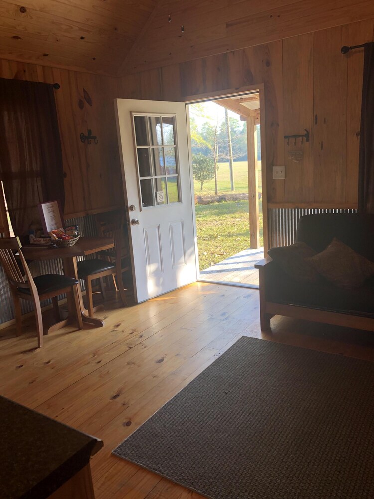 Waterfront Cabin on Red Creek Steps From the Water!, Perkinston Room