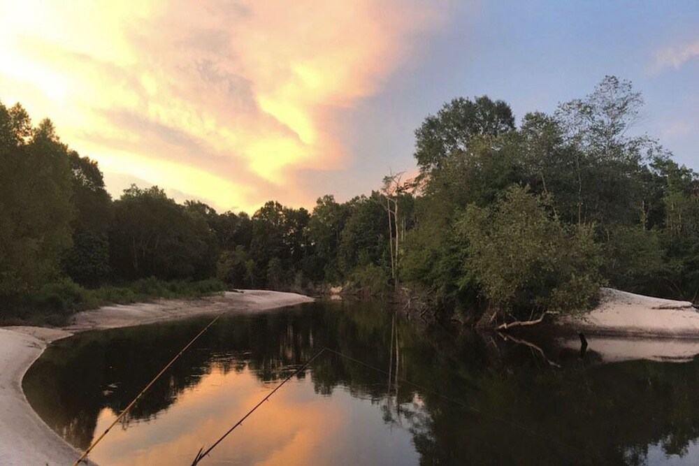 Cozy Creekside Scarlet Cabin on the Creek with 2 sandbars, Perkinston
