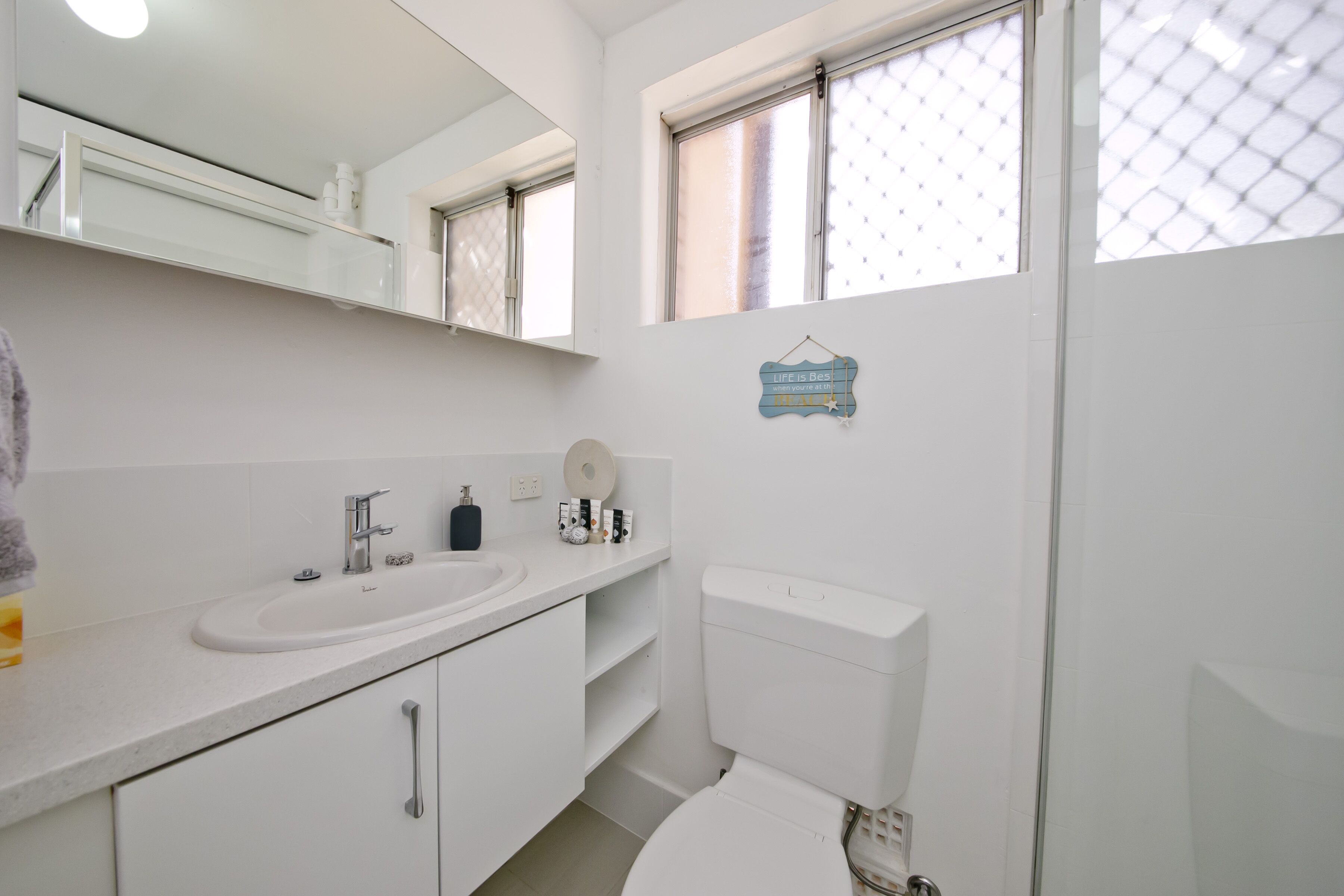 Scarborough's Gaddodi