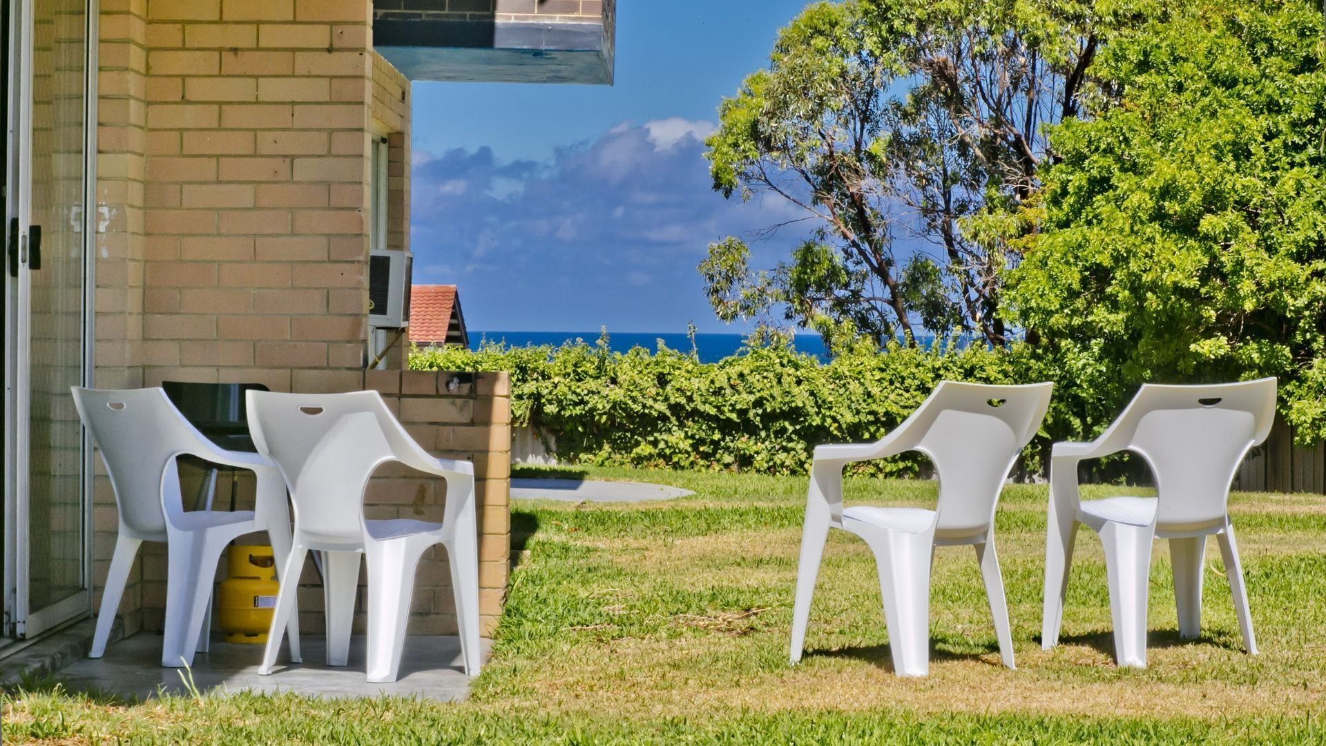 Scarborough's Gaddodi