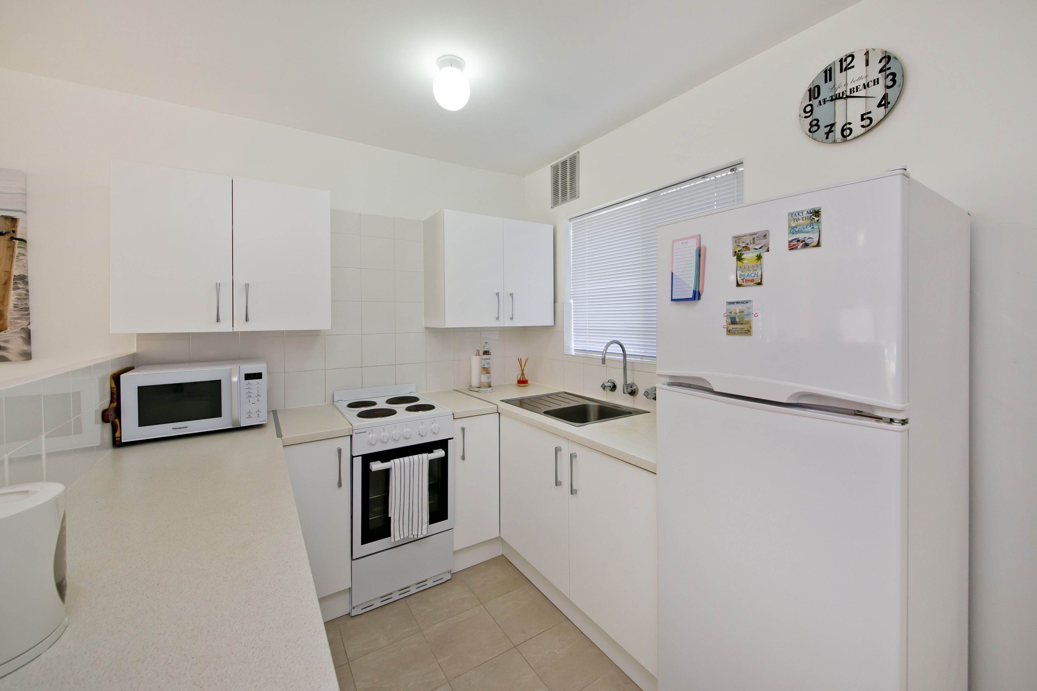 Scarborough's Gaddodi