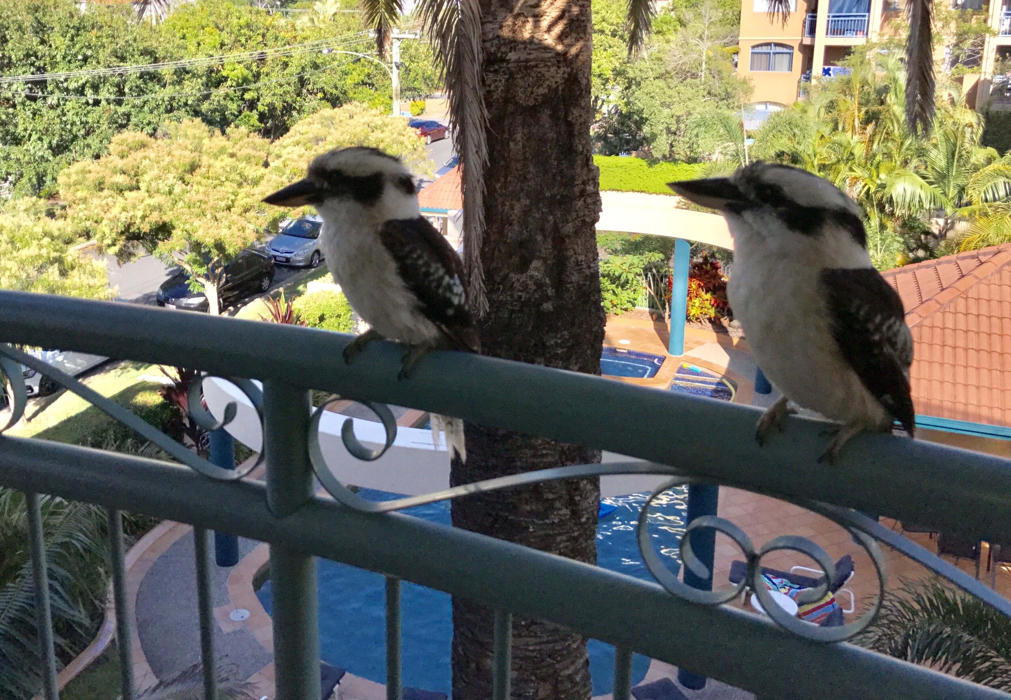 Low-rise 2 Story Penthouse Apartment