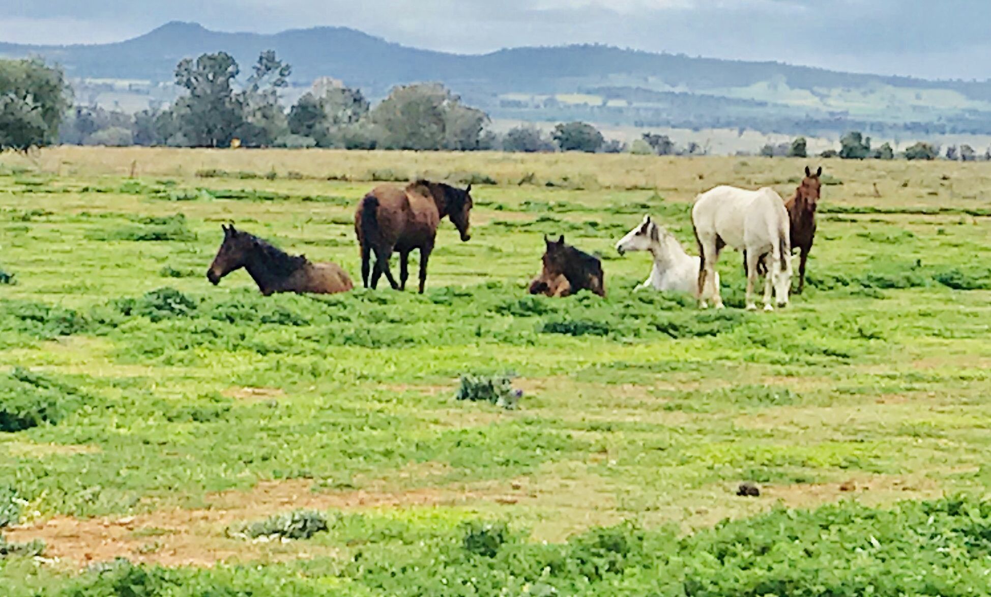 BlueHaven Retreat a peaceful relaxing space with a stunning outlook.