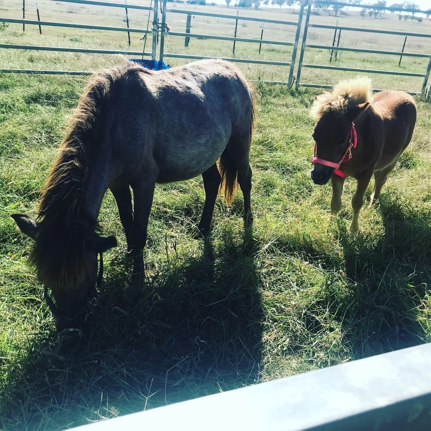 BlueHaven Retreat a peaceful relaxing space with a stunning outlook.