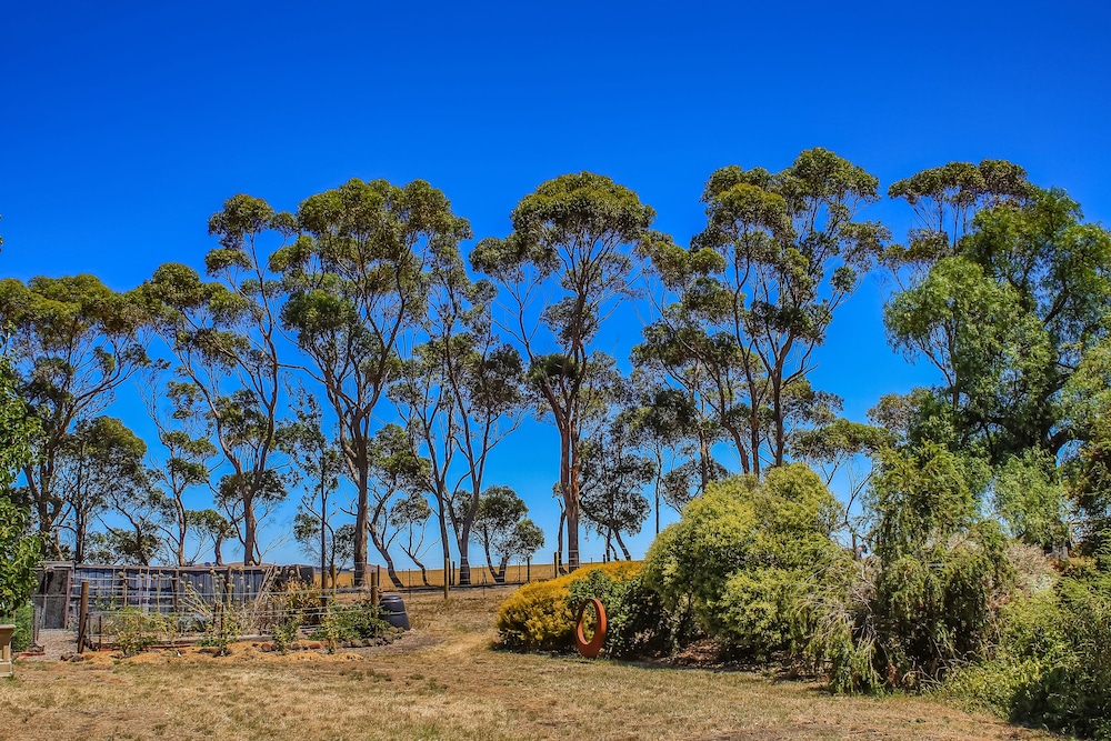 Camperdown Tiny Away