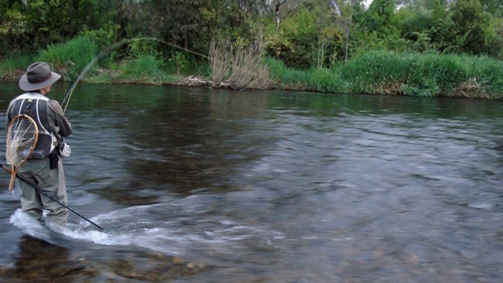 Platypus Cottage Tumut