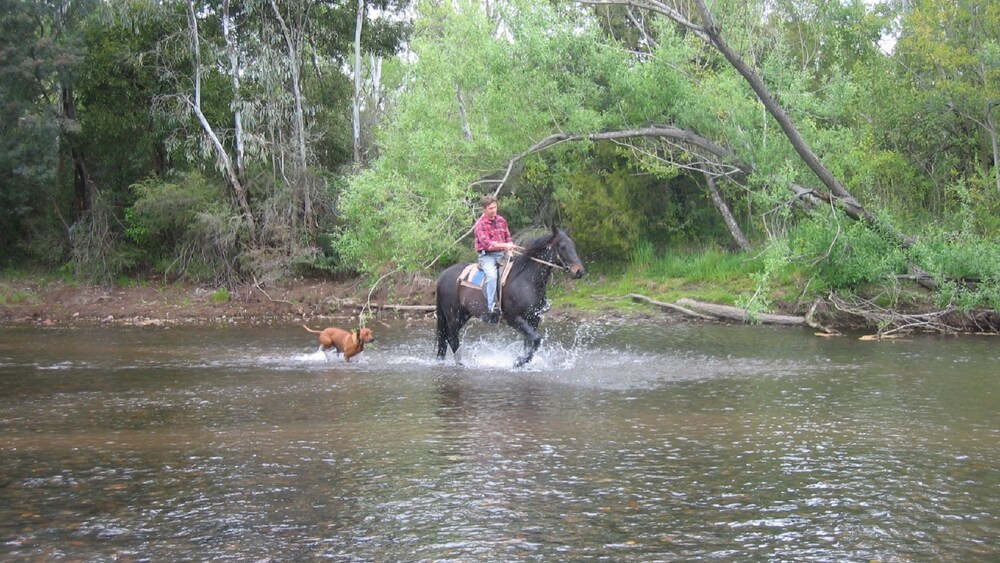 Platypus Cottage Tumut