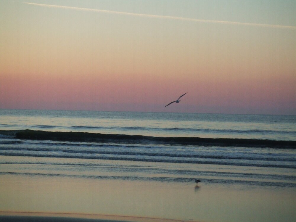 Solace and Comfort – Sea Trail - Beach 1 Mile, Golf Course, Ground Level, Linens
