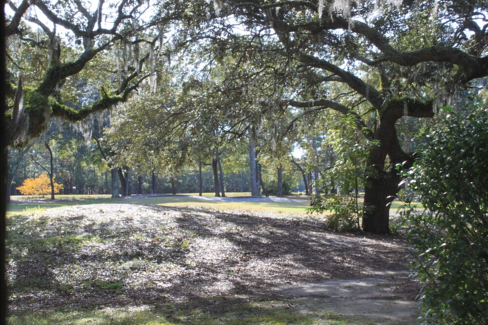 Solace and Comfort – Sea Trail - Beach 1 Mile, Golf Course, Ground Level, Linens