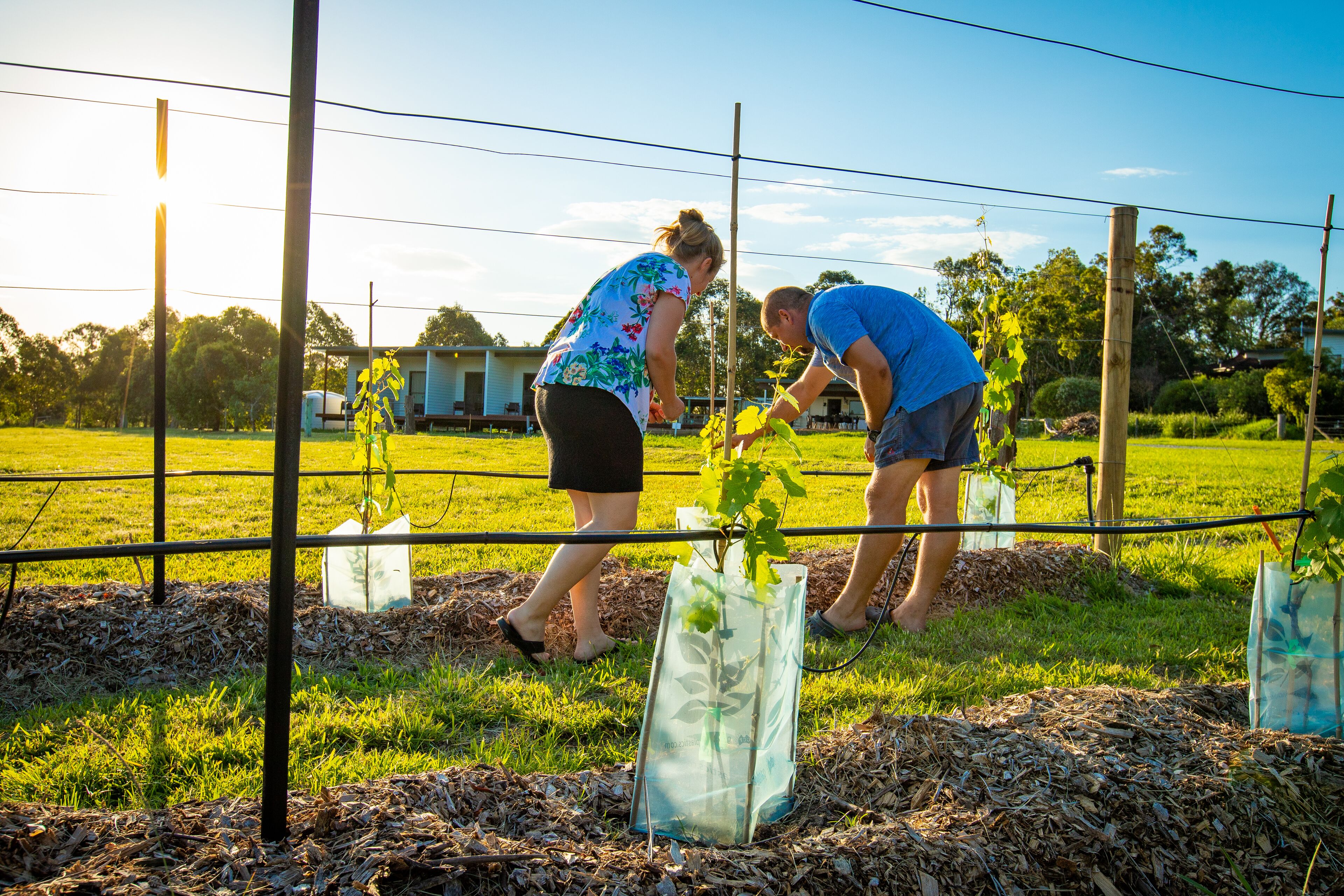 Luxurious B&B and Winery 40 mins from Brisbane CBD, near Narangba train station.