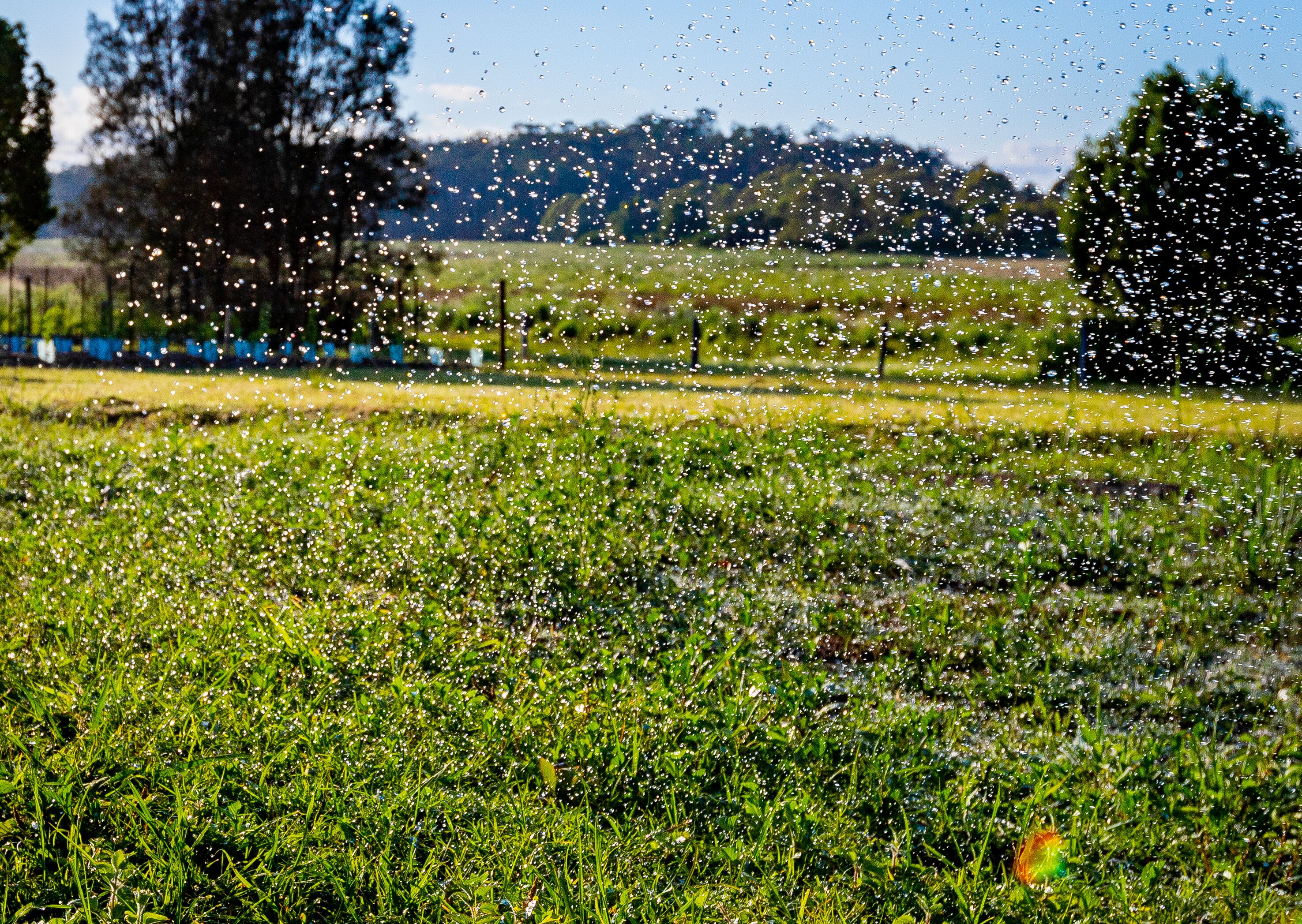 Luxurious B&B and Winery 40 mins from Brisbane CBD, near Narangba train station.