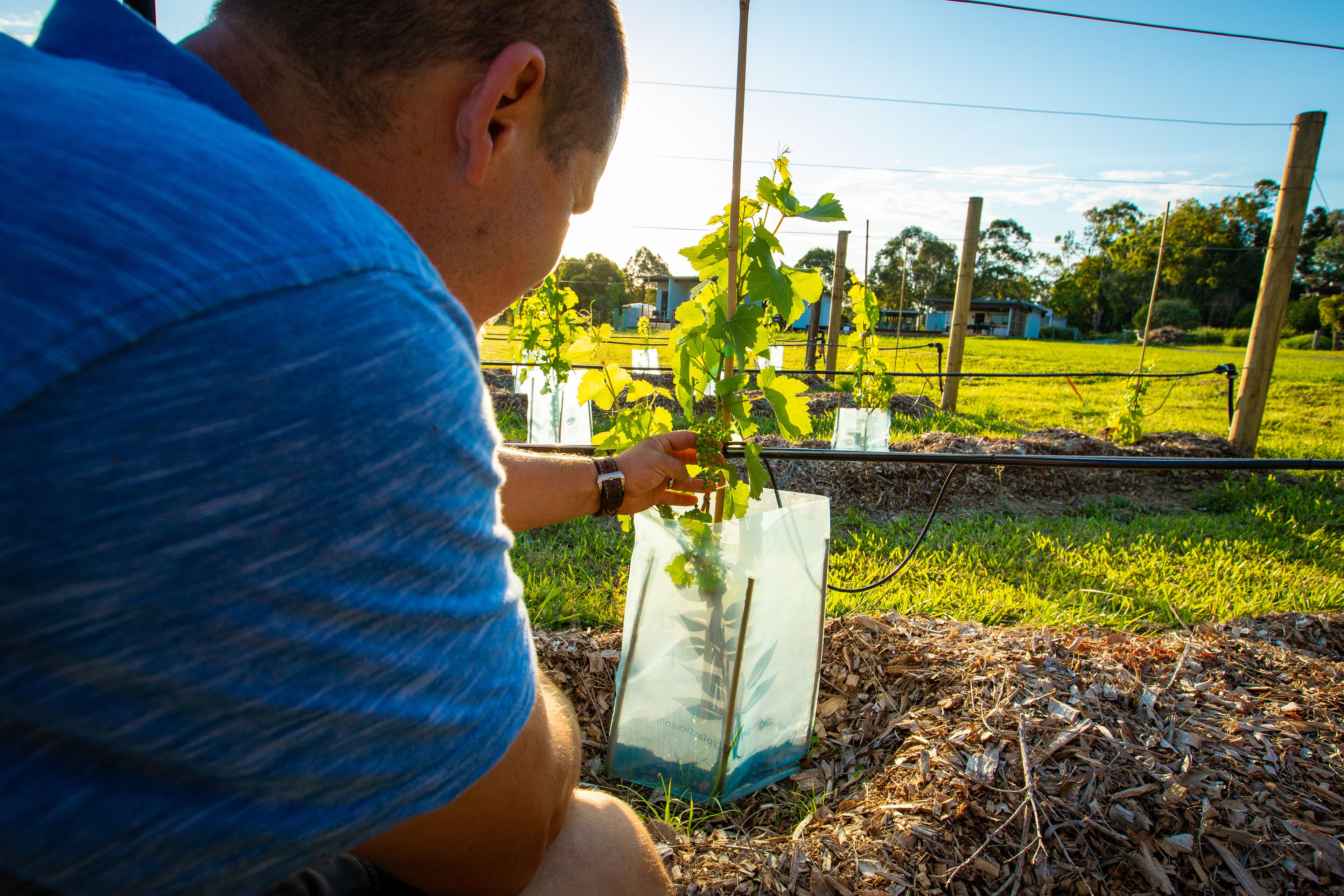 Luxurious B&B and Winery 40 mins from Brisbane CBD, near Narangba train station.