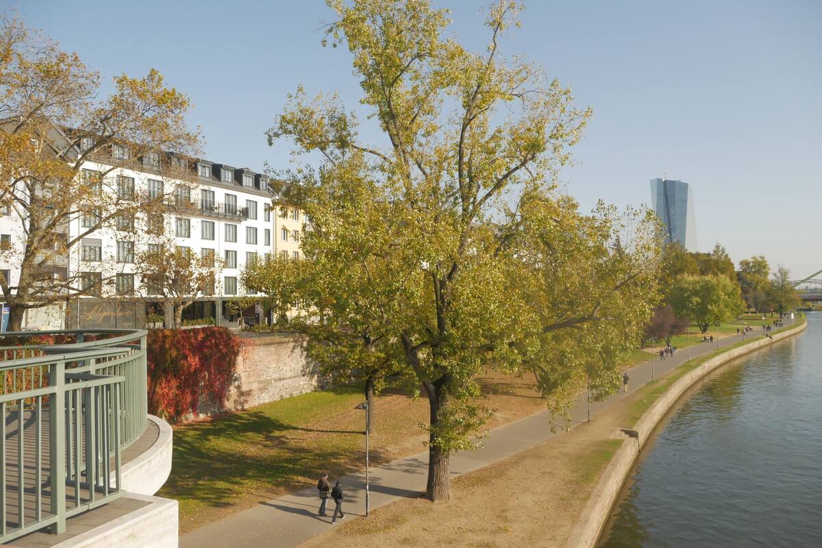 Hotel My Main In Frankfurt Germany Expedia