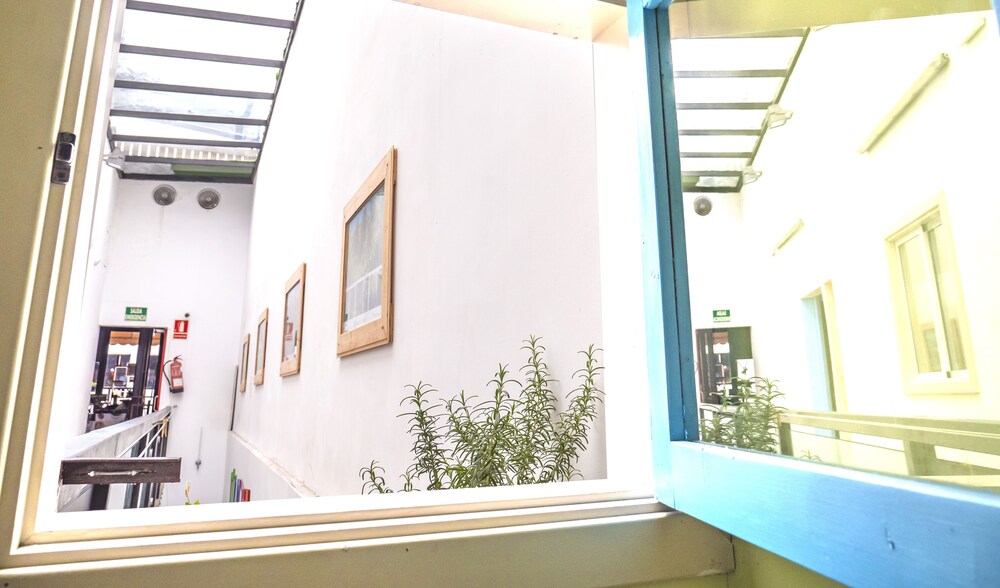 Photo - Pura Vida Las Palmas