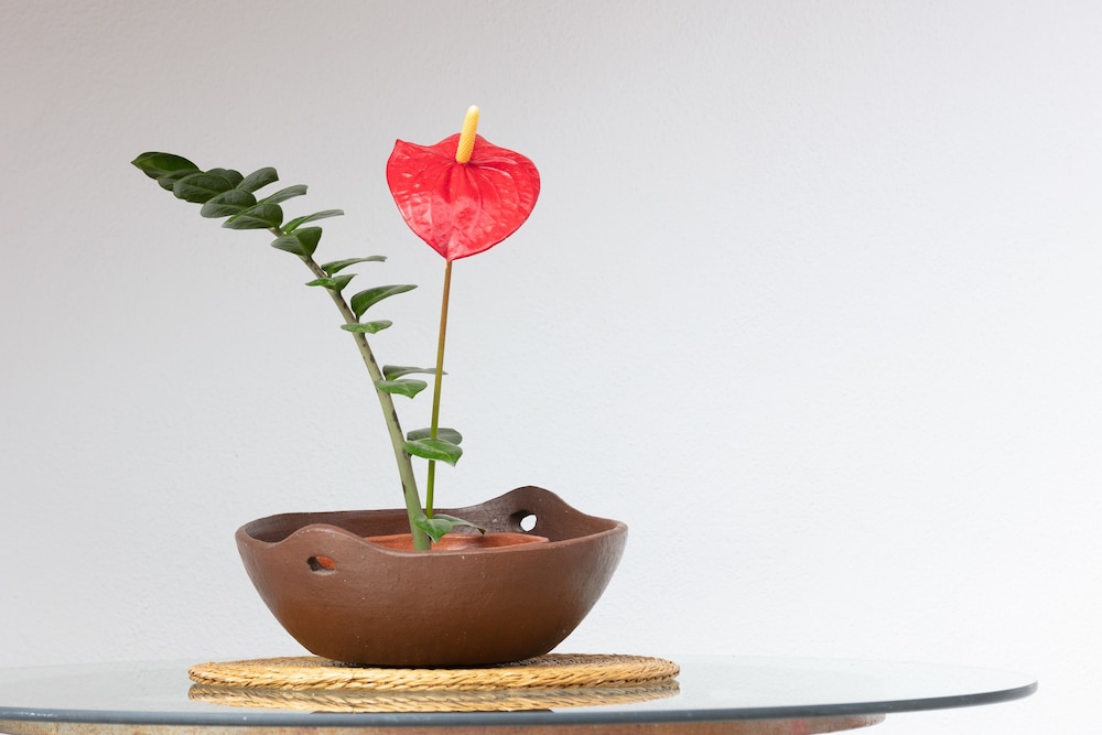 Photo - El Sitio de la Casa