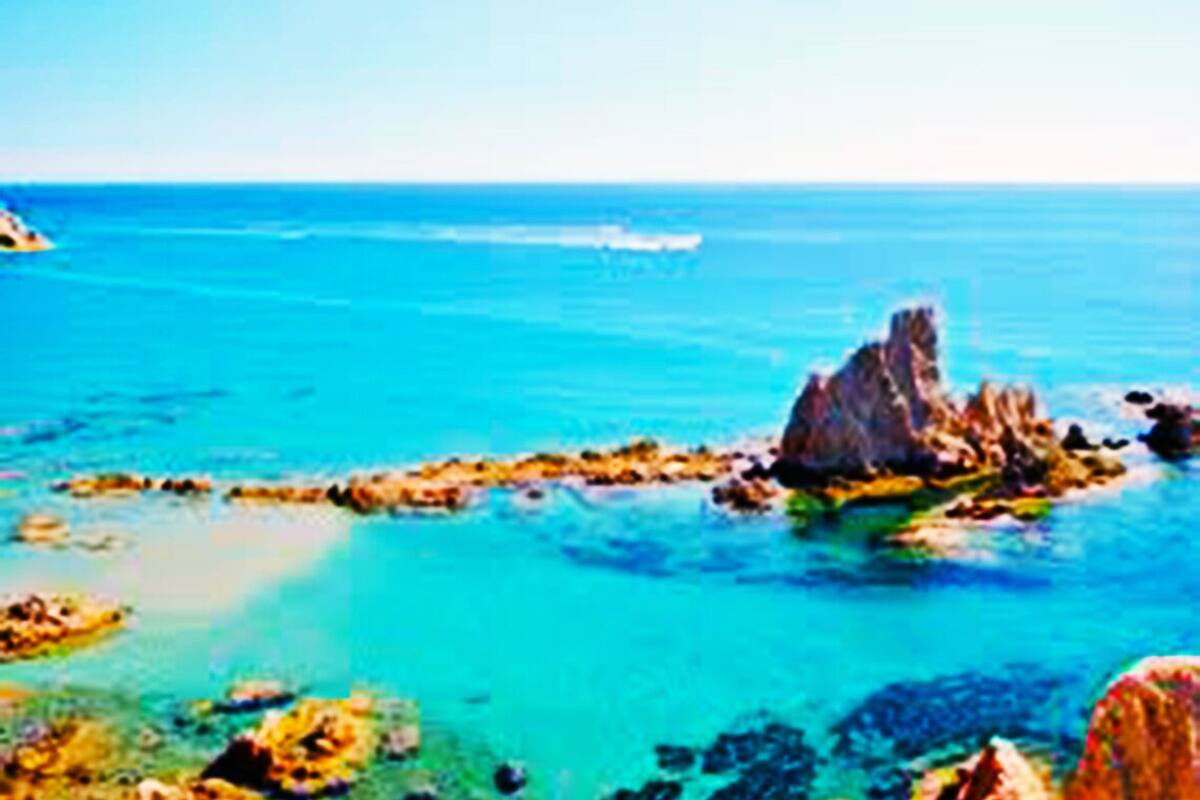 2ベッドビーチフロントアパートメント 壮大な海の景色 口コミ 部屋写真 料金 お得情報 エクスペディア