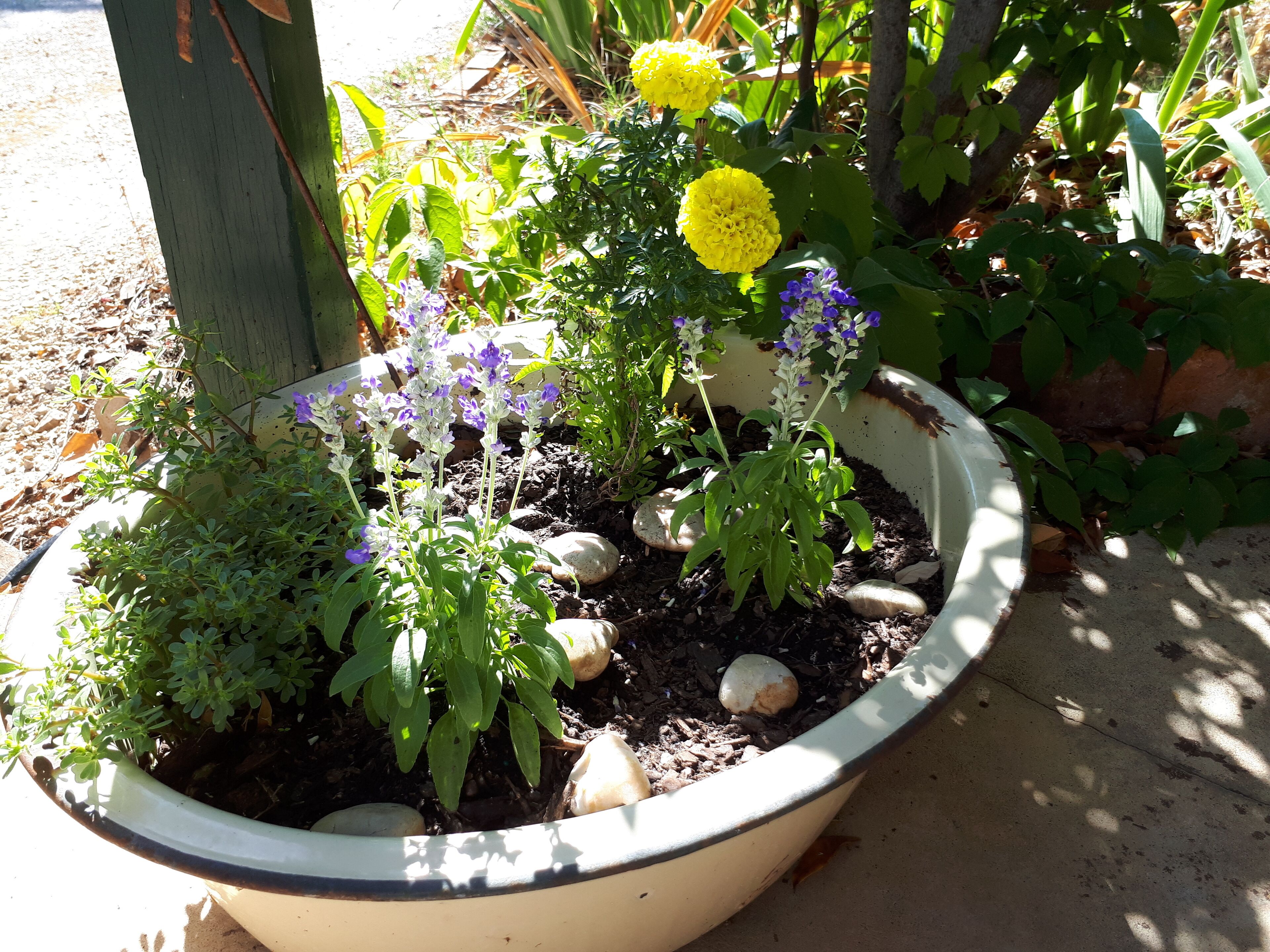 Avoca Cottage - Home Away From Home