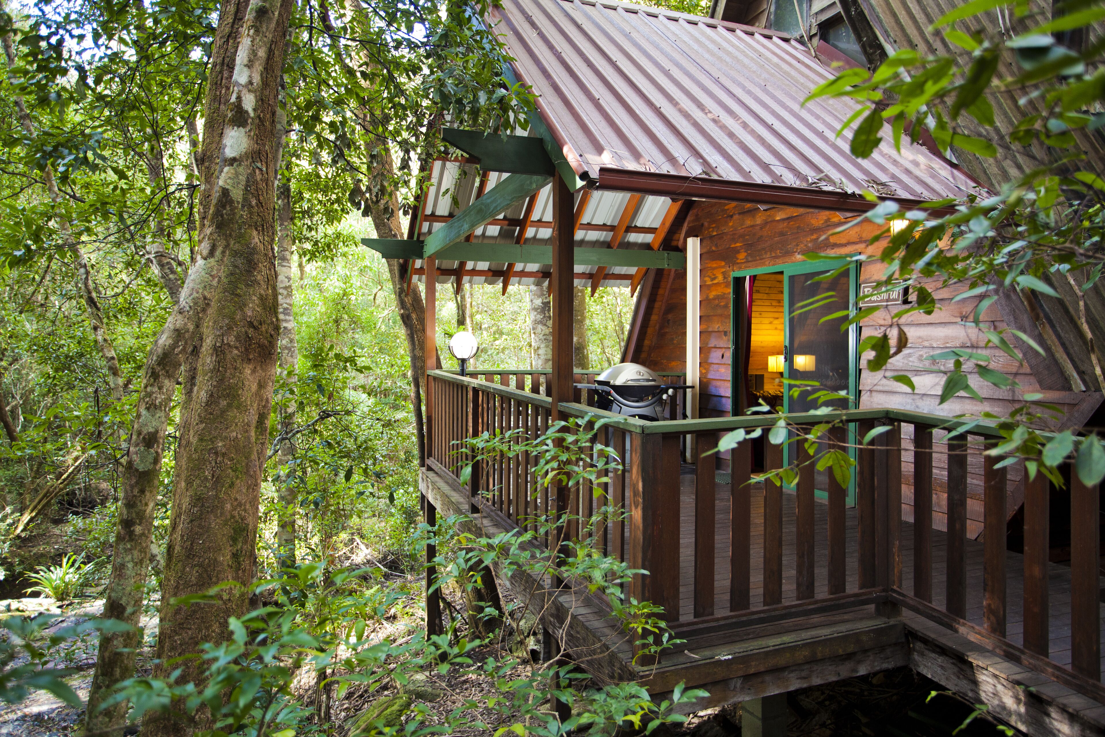 The Mouses House Rainforest Retreat