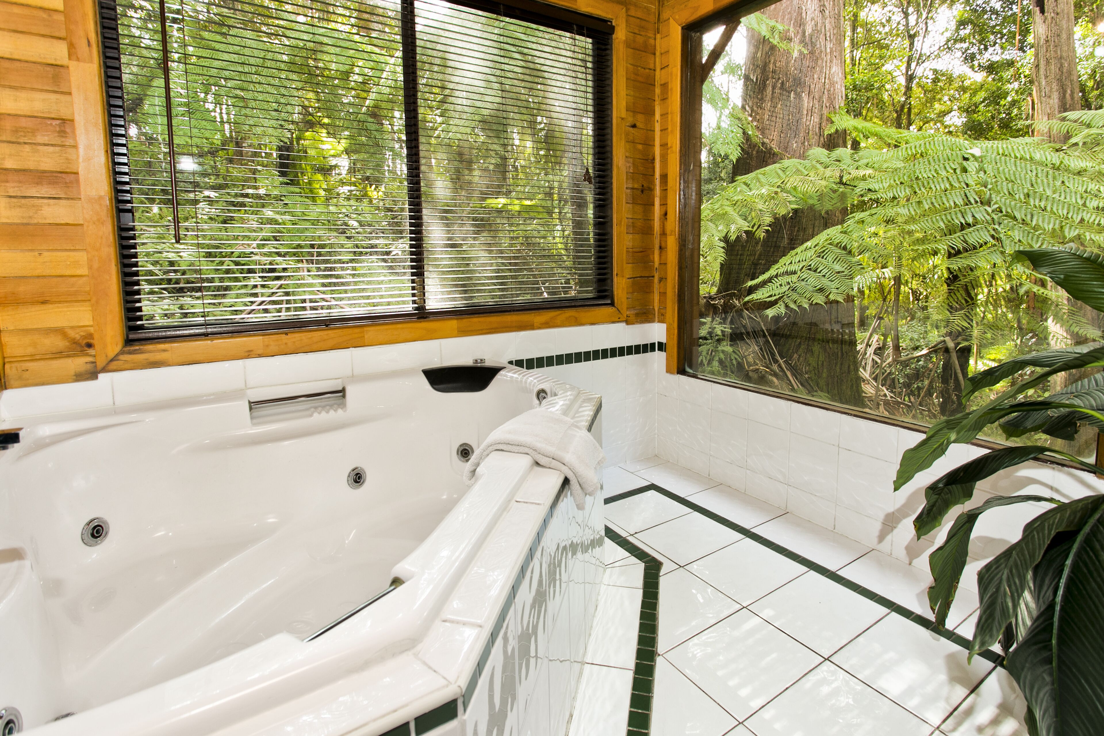 The Mouses House Rainforest Retreat