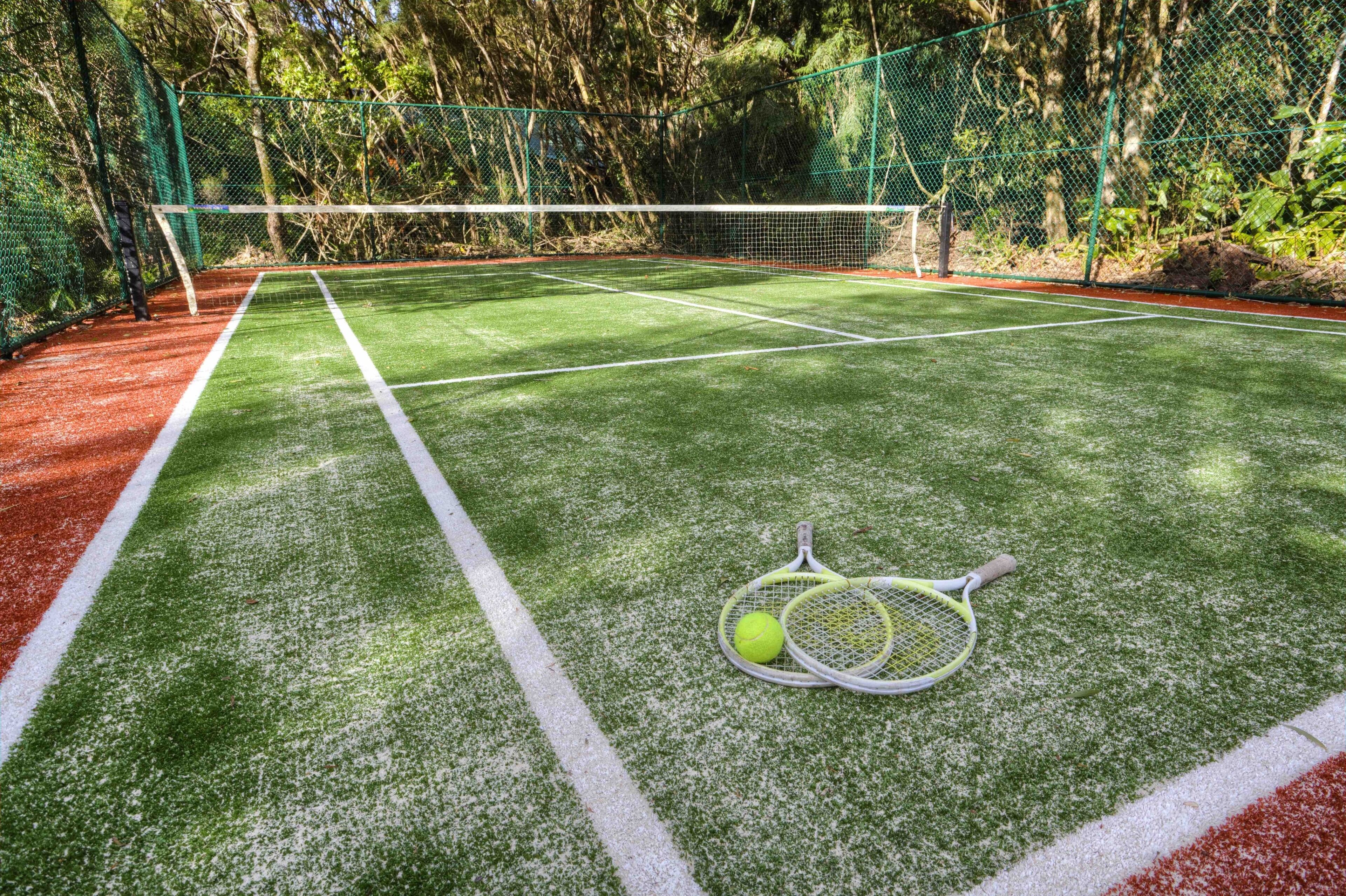 The Mouses House Rainforest Retreat