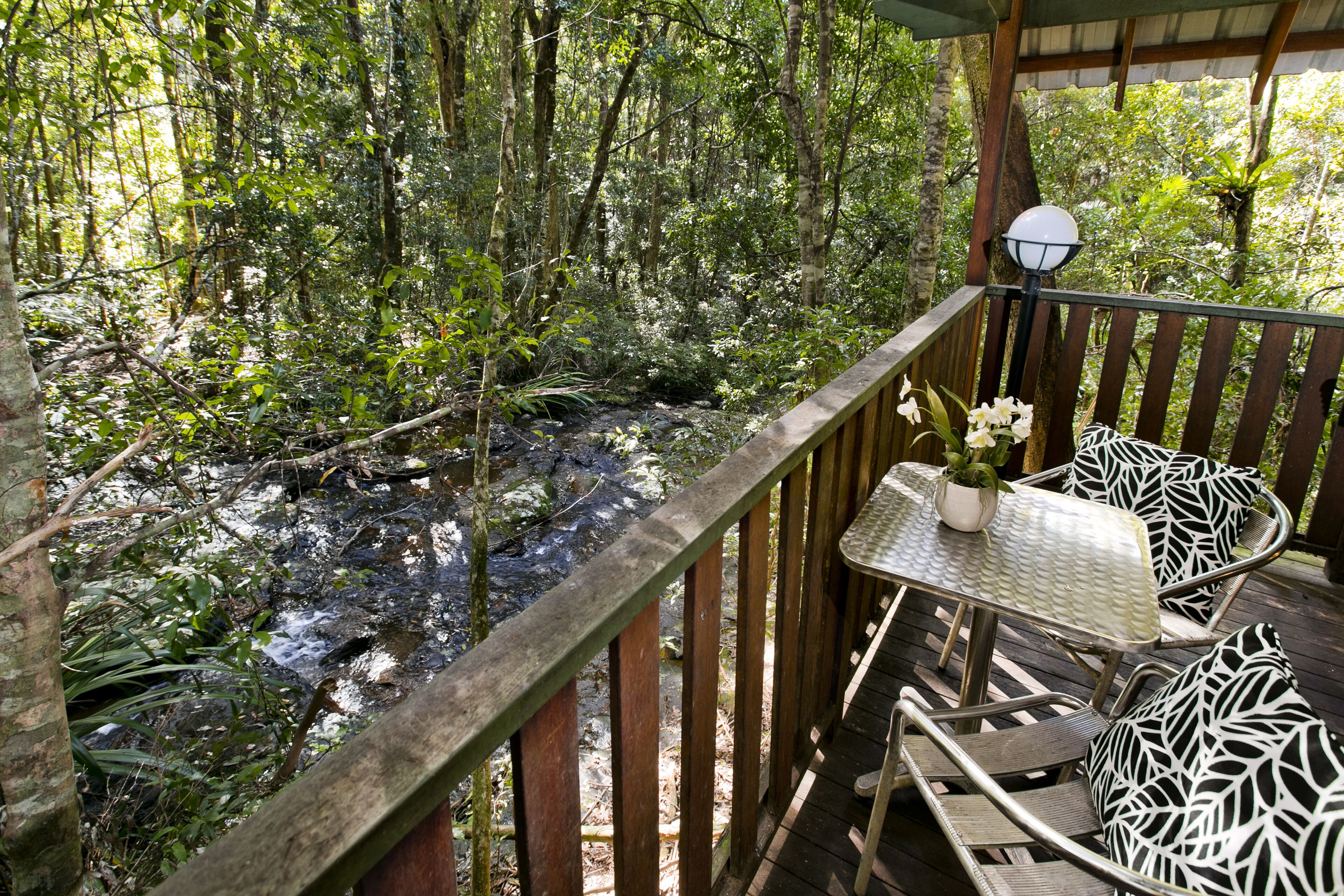 The Mouses House Rainforest Retreat