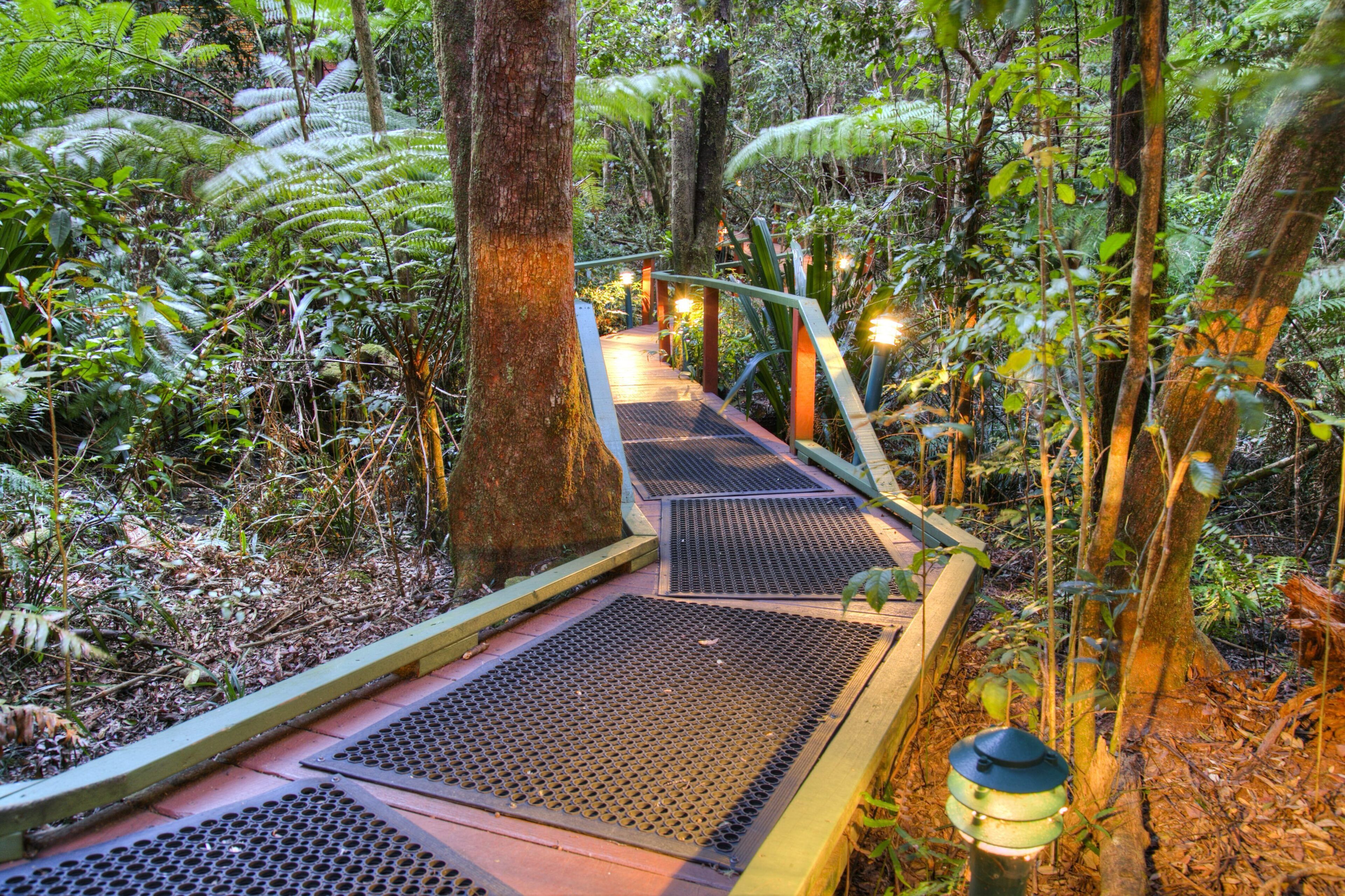 The Mouses House Rainforest Retreat