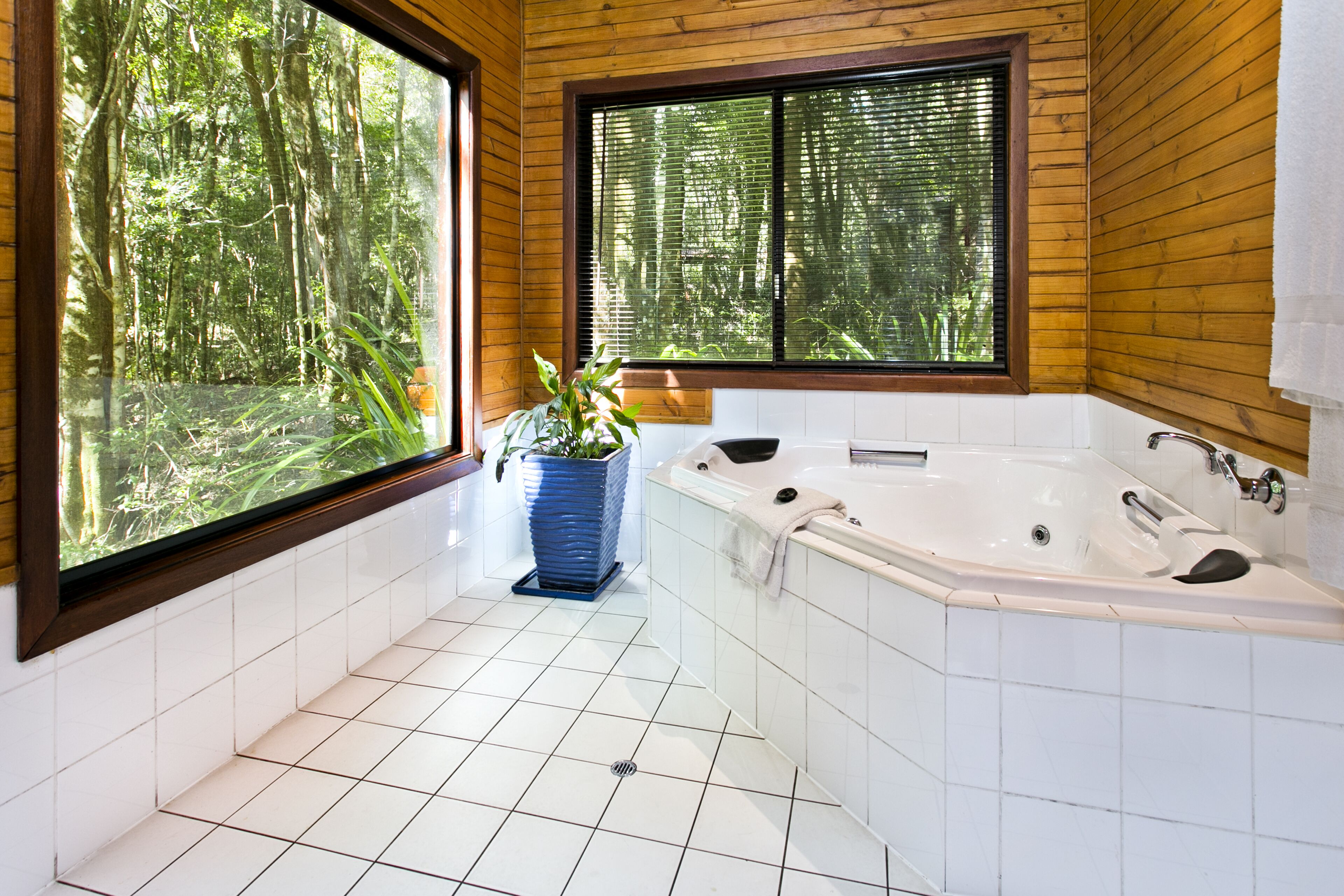 The Mouses House Rainforest Retreat