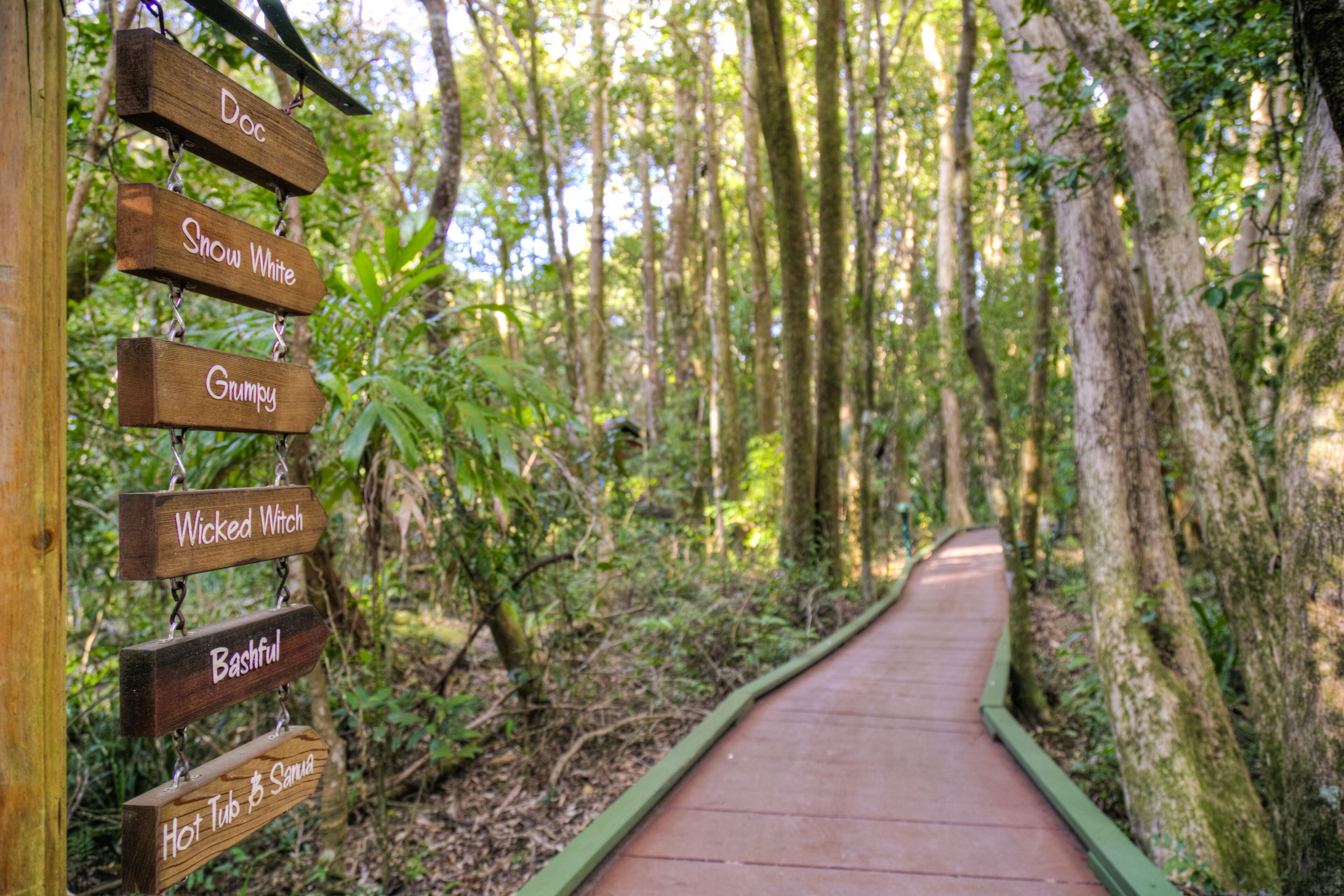 The Mouses House Rainforest Retreat