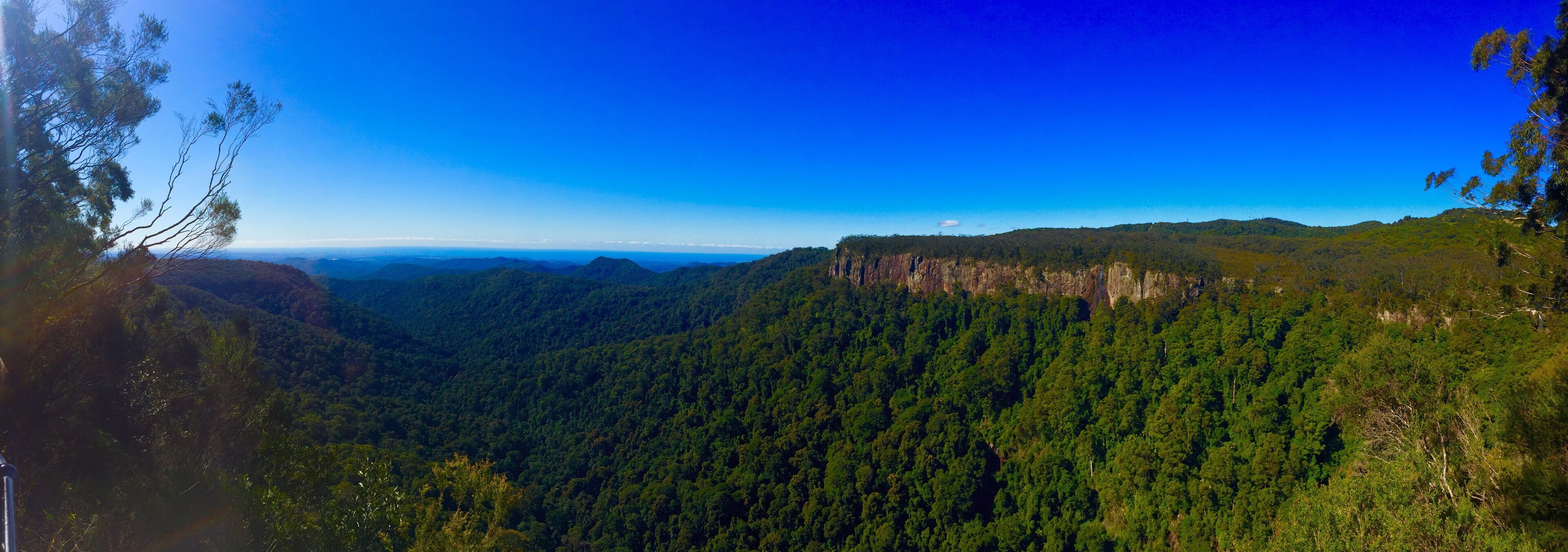 The Mouses House Rainforest Retreat